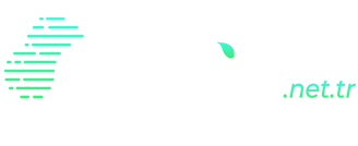 Akkin Net Logo